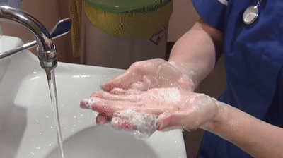 Step 1: Clean
